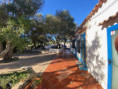 /album/galleria-foto-camping-a-la-maddalena/camping-maddalena-13-jpg/